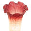 Bassler Torchiere Table Lamp