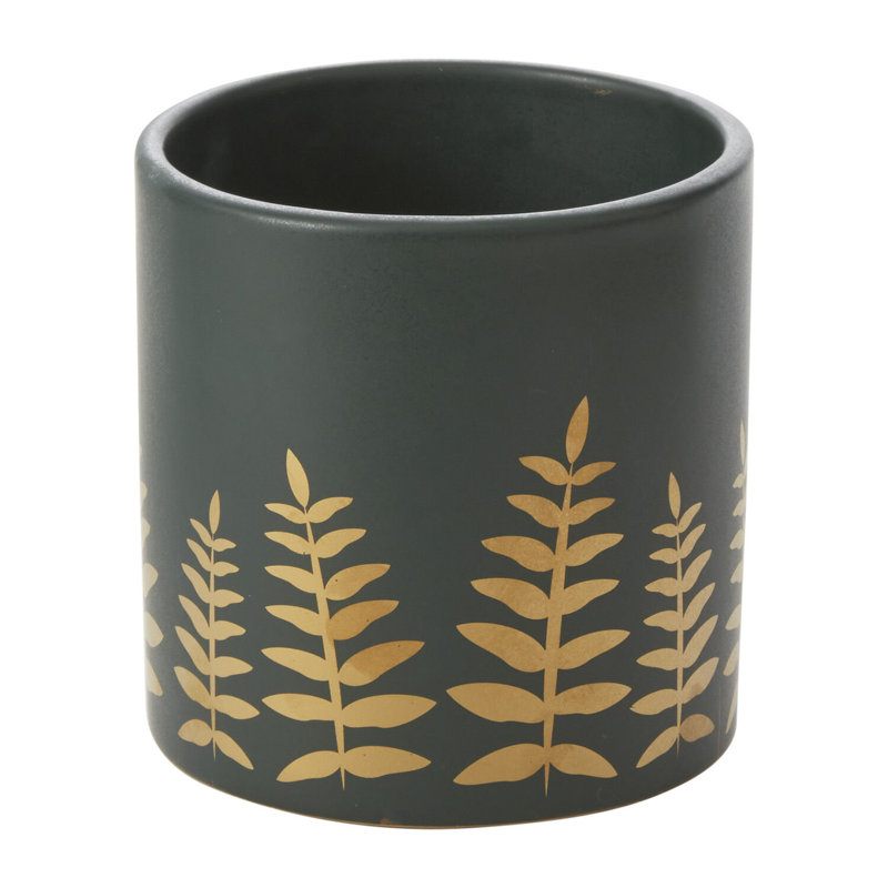 Pot à fougères Midwinter 5,25 po x 4,75 po