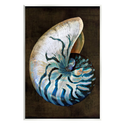 Nautilus foncé foncé par Caroline Kelly