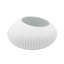 Shell White Porcelain Dining Bowl