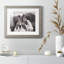 Chevaux sauvages - Photographie avec cadre photo-2049819174-2049819175