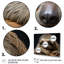 «Cute Sloth Portrait», reproduction d'art sur toile-1602540581-1392276303