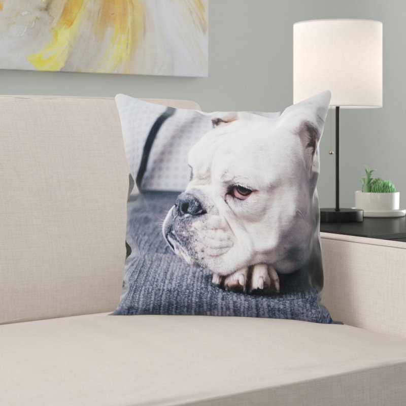 Coussin pour chien