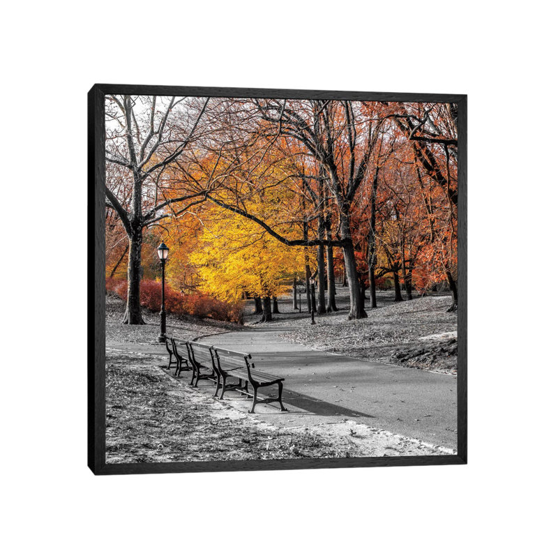 Park Pretty I by Assaf Frank - Print on Canvas, 93.98 cm H x 93.98 cm W, Black Framed Canvas