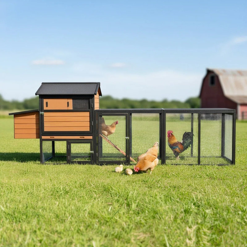 Cage à poulets en bois brun L 114,06 po x l 25,48 po x H 42,32 po 1 pièce