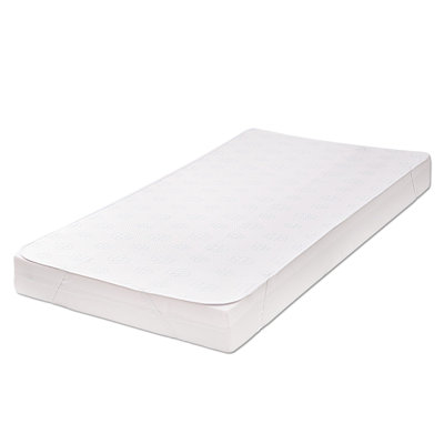 17 Stories Mattress Protector Mattress