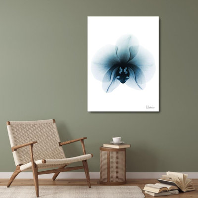 Art sur toile tendu avec la galerie Latitude Run® Koetsier, Albert: Glacial Orchid 1 RC