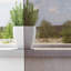 Voile Curtains With Tab Top 2 Pcs-2099272495-2099272538