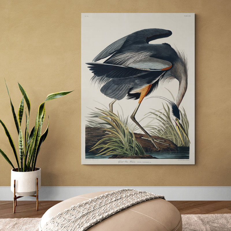 Great Blue Heron by John Audubon - Wrapped Canvas Print, 31cm H x 21cm W