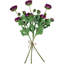 Roses et tiges