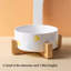 Pet Bowl