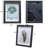 5X7 Shadow Box Frame Small Shadow Box Display Case 4 Pack Black Picture Frame Glass Surfaces Internal Depth 0.6 Inch For Wall Or Tabletop