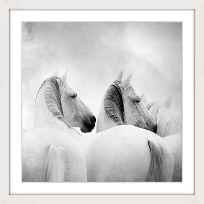 " White Horses "