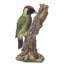 Statue woodpecker on souches