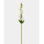 Real Touch Snapdragon rose 23 po-1814292122