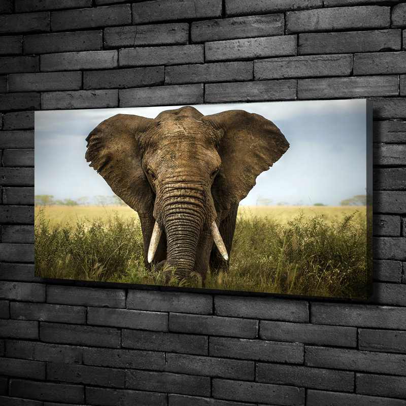 Elephant On The Savanna - No Frame Print on Canvas