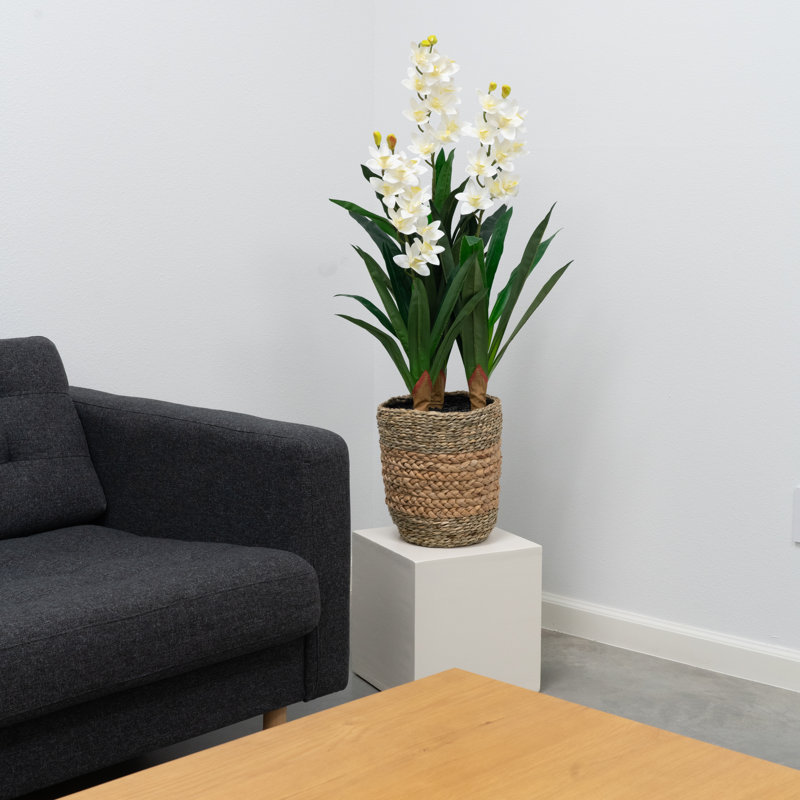 Orchidée 42 "Natural Touch, Blanc