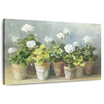 Harnek White Geraniums Crop