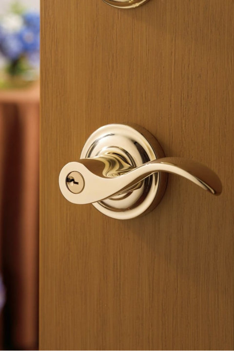 Door Levers