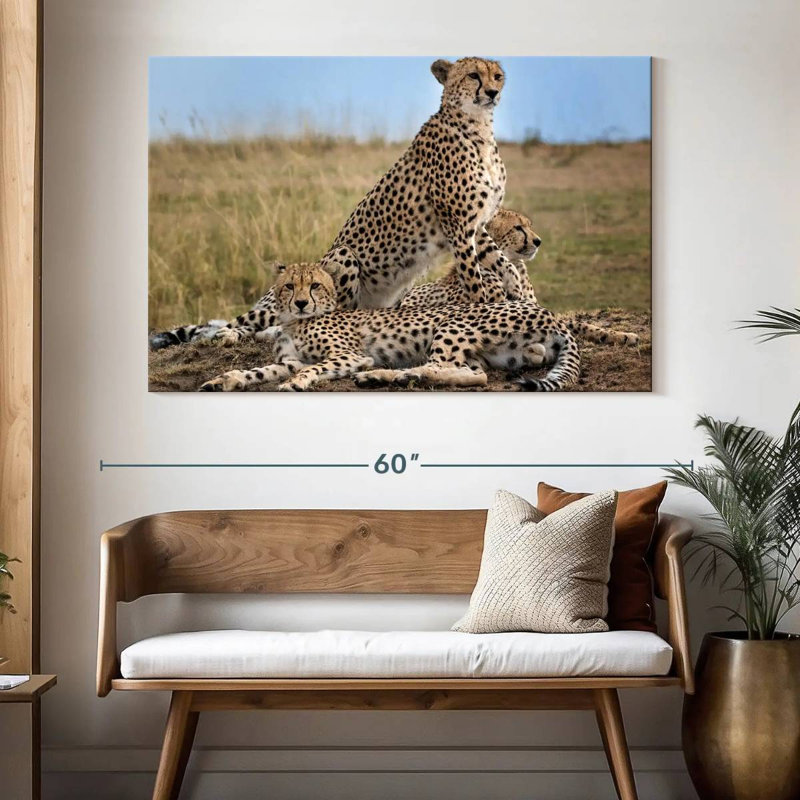 Brampt Wild Cat Coalition, 34" H x 51" W