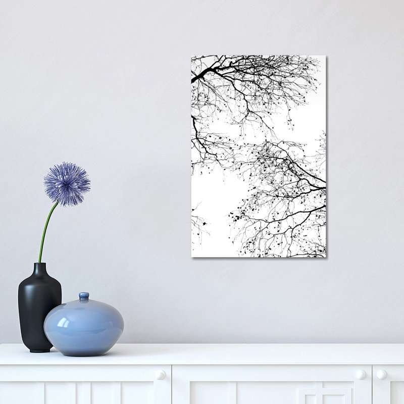 Black Branches II by Monika Strigel - Wrapped Canvas Print, 30.48 cm H x 45.72 cm W