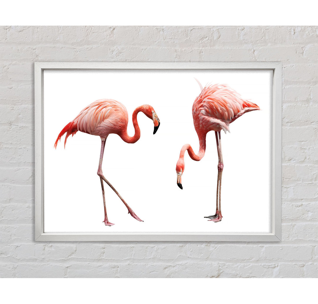 Rosa Flamingo Duo - Einzelne Bilderrahmen Kunstdrucke auf Leinwand