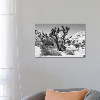 Joshua Tree II by Philippe Hugonnard - Wrapped Canvas Print