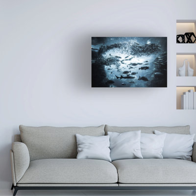 Art sur toile, Takashi Suzaki