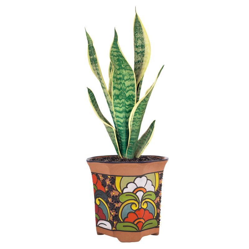 Talavera Handmade Ceramic Pot Planter