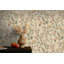 Papier peint floral non tissé jaune-2074016293