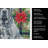 Blue Neapolitan Mastiff Christmas PoinsettIas Kitchen Towel-2080584130