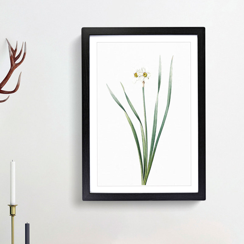 Primrose Flowers by Pierre-Joseph Redoute - Picture Frame Painting Print, Black Framed, 36cm H x 27cm W x 2cm D