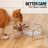 Elevated Tilted Double Cat Bowls