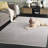 Platinum Performance Rug-908642630