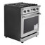 Four à convection 30 po 4 brûleurs scellés en acier inoxydable