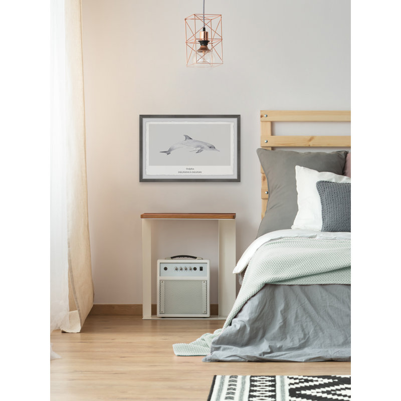 Delphinus Delphis by Marmont Hill - Single Picture Frame Print, 61cm H x 91cm W x 3.81cm D