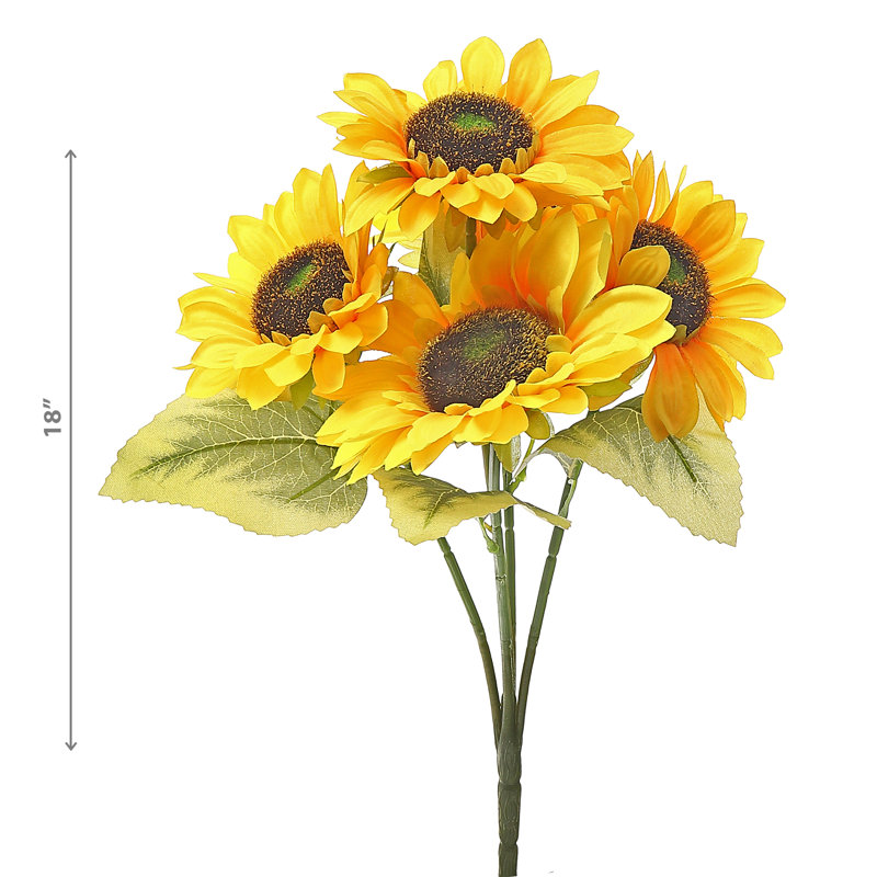 5 têtes de tournesol
