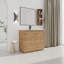 Meuble-lavabo autoportant avec lavabo et porte à fermeture douce et support de rangement-2074295151