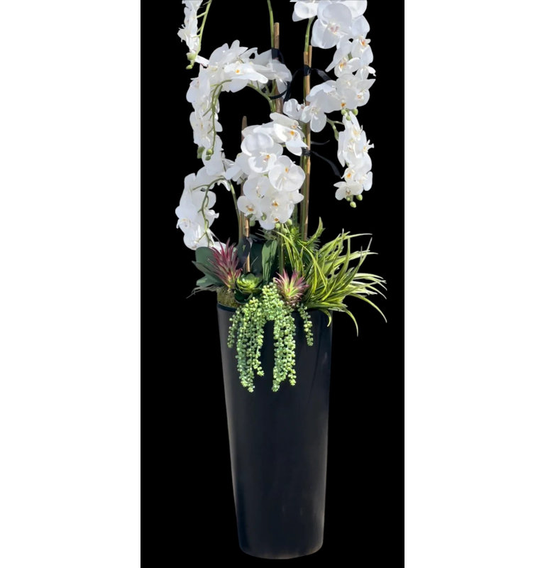 Orchid Arrangement in Planter