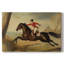 Animaux, paysage, série CCI-641803341