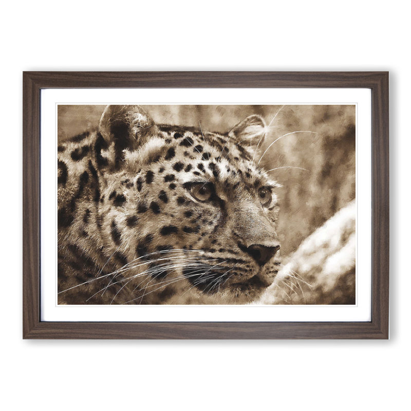 Leopard Vol.3 - Picture Frame Painting, Walnut Framed, 48cm H x 65cm W x 2cm D
