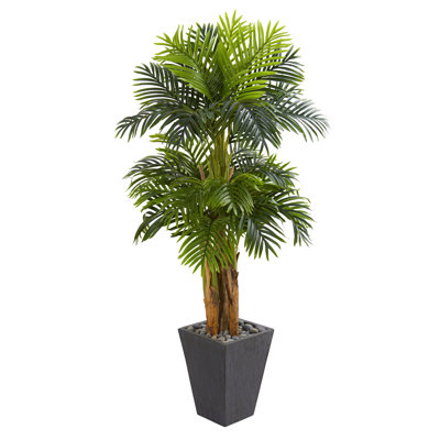 66'' Faux Palm Tree in Ceramic Planter
