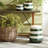 Lark Manor™ Seagrass Planter