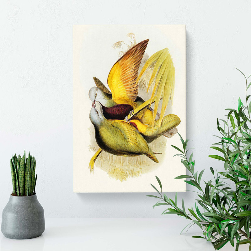 Allied Fruit-Pigeons - Wrapped Canvas, 50cm H x 35cm W x 3cm D