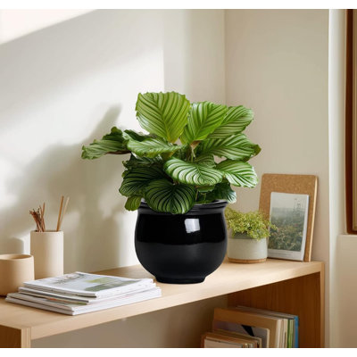 Pot Planter