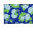 Hydrangea Low Pile Decorative Indoor Area Rug-276766399