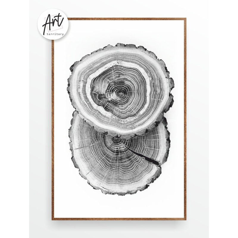 «Tree Ring», reproduction d'art sur bois, grandes estampes ou toiles, Affiche non encadrée, H 36 po x l 72 po
