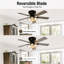 132.08 cm Ceiling Fan with Light Kit