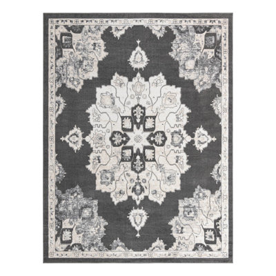 Oriental Indoor Rug