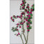 Bougainvillier artificiel de 2,13 m (7 pi) - Décoration intérieure et extérieure